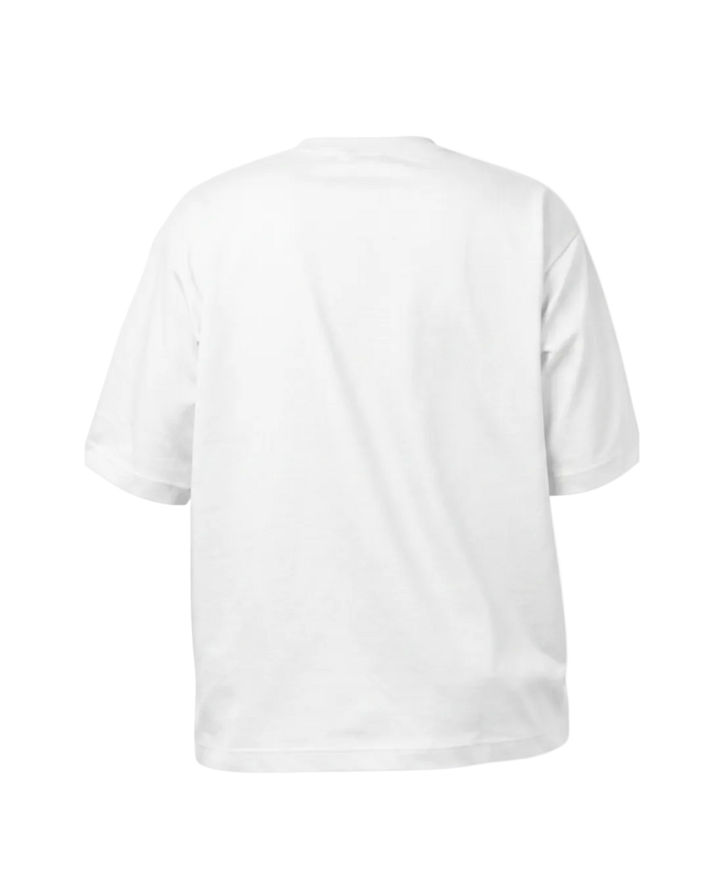 A plain white short-sleeve crewneck t-shirt shown from the back, photographed against a seamless white background.