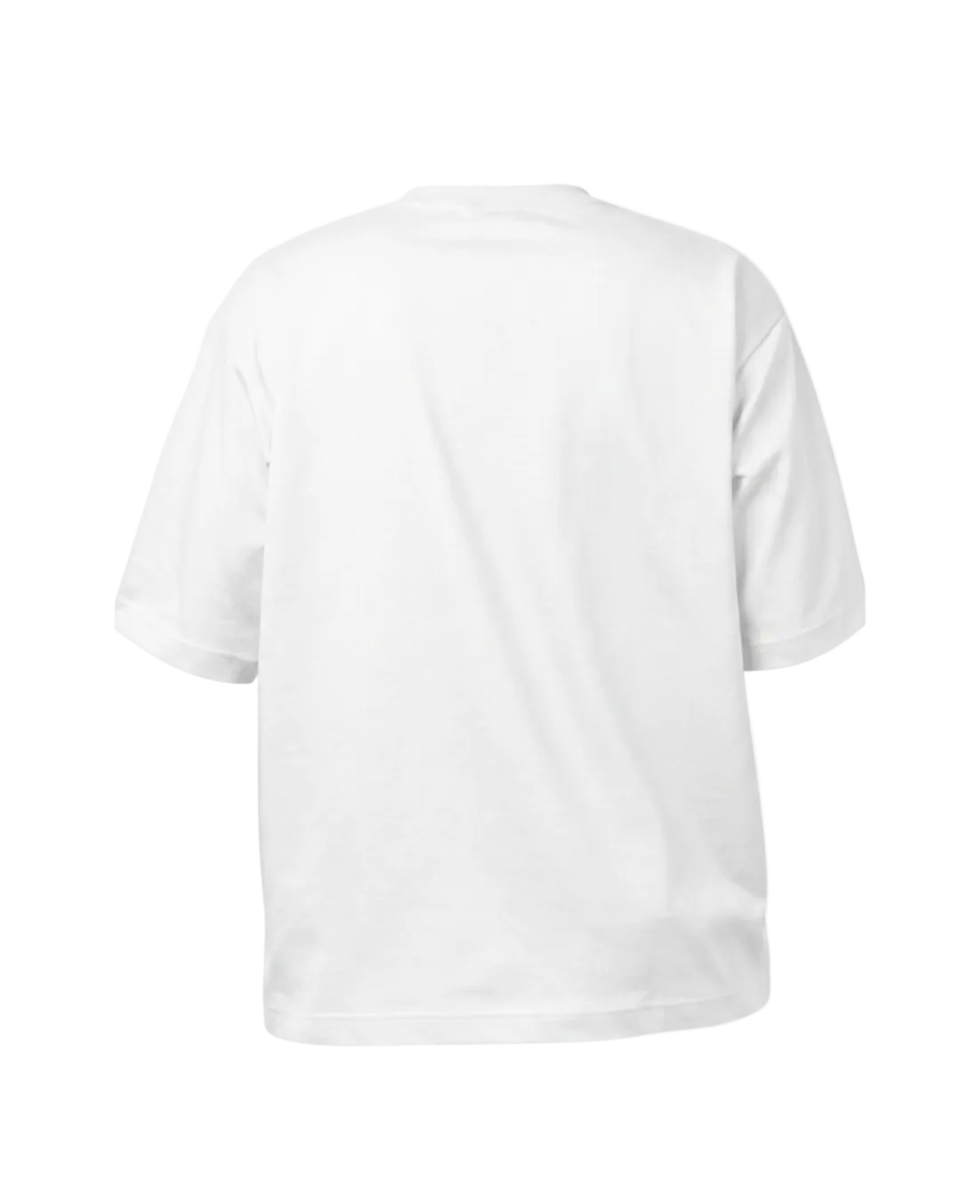 A plain white short-sleeve crewneck t-shirt shown from the back, photographed against a seamless white background.